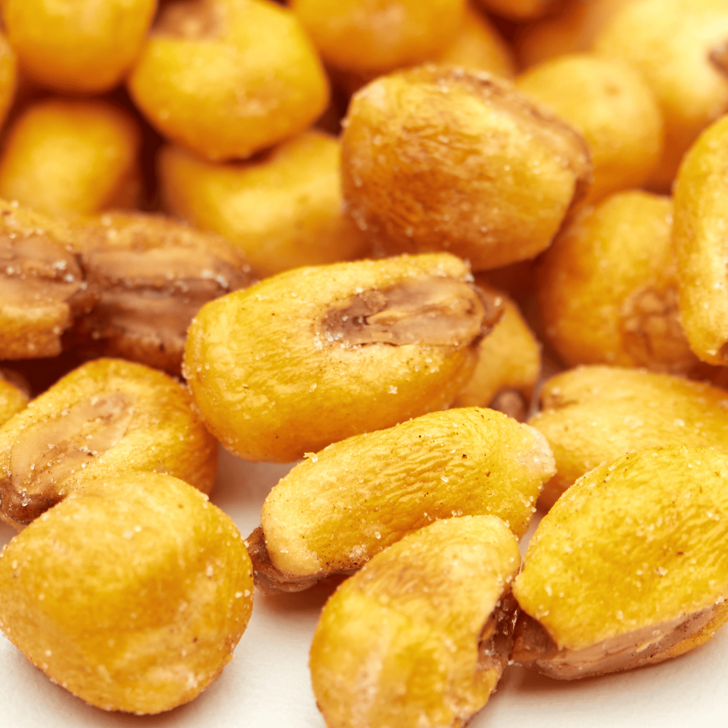 Maiskörner geröstet mit Salz 1 Kg