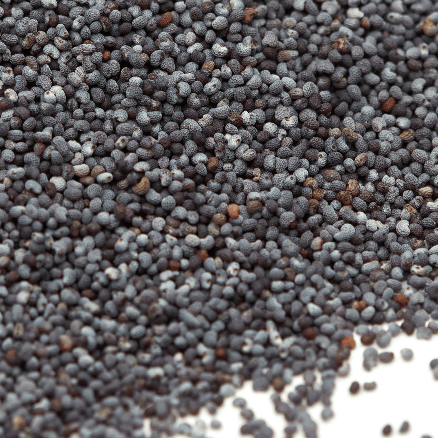 Blaumohn Premium 1 Kg