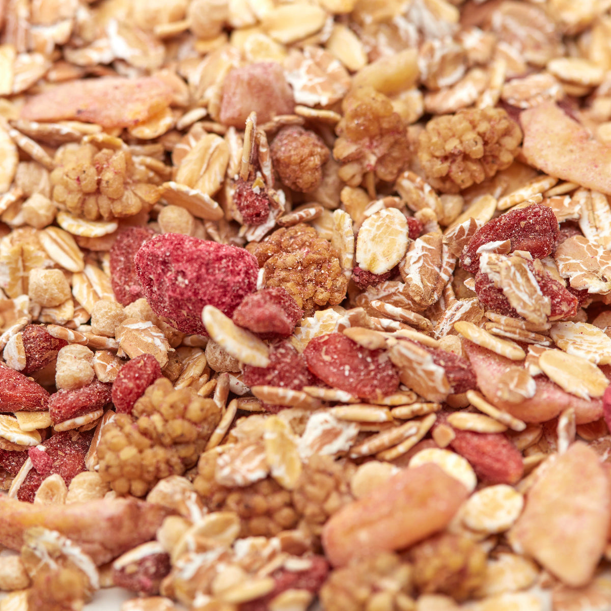 Makroaufnahme des Beeren-Müslis von NESSLIM mit Goji-Beeren, Maulbeeren, gefriergetrockneten Himbeeren und Flocken.