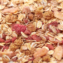 Makroaufnahme des Beeren-Müslis von NESSLIM mit Goji-Beeren, Maulbeeren, gefriergetrockneten Himbeeren und Flocken.