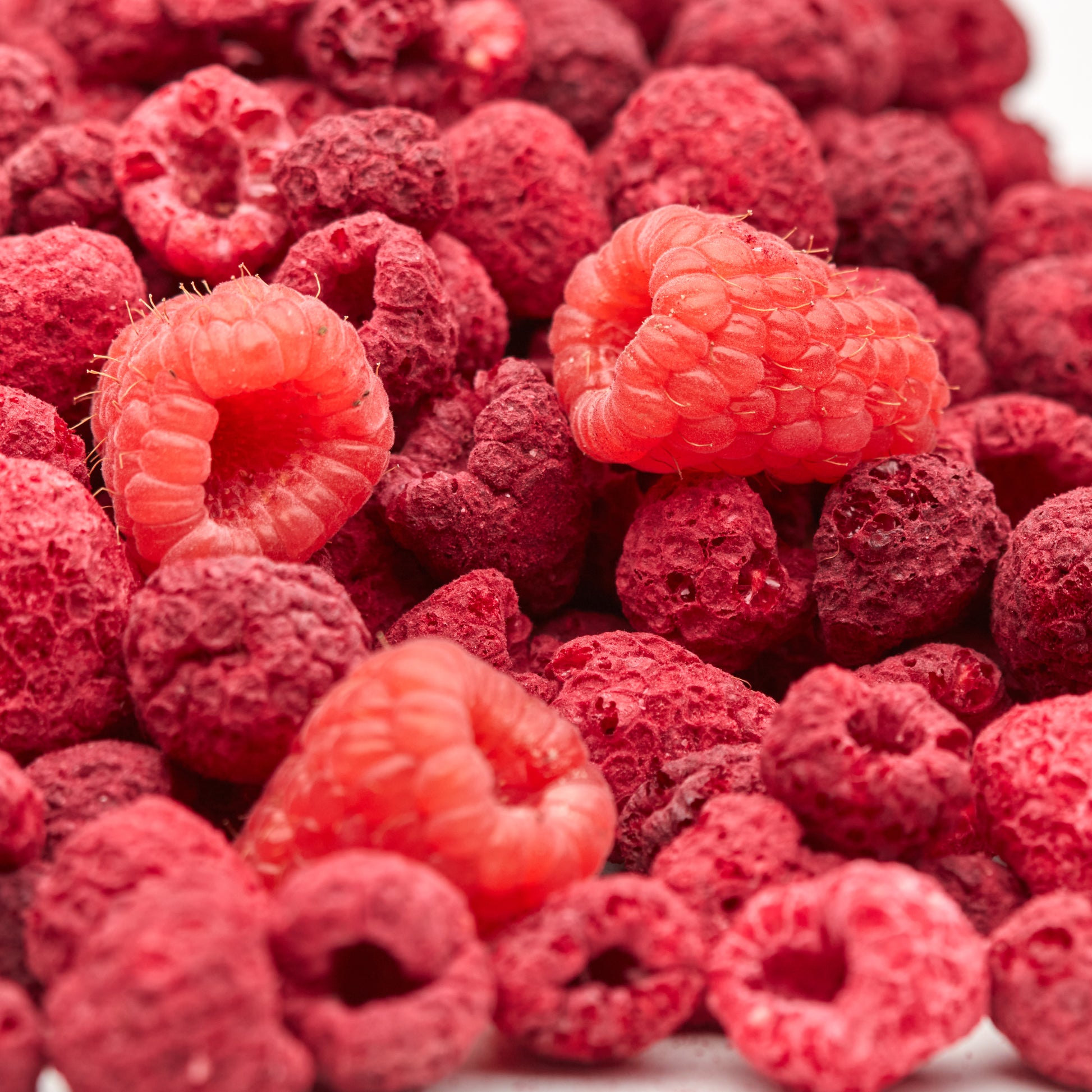 Ganze gefriergetrocknete Himbeeren – Nahaufnahme der knusprigen Beeren
