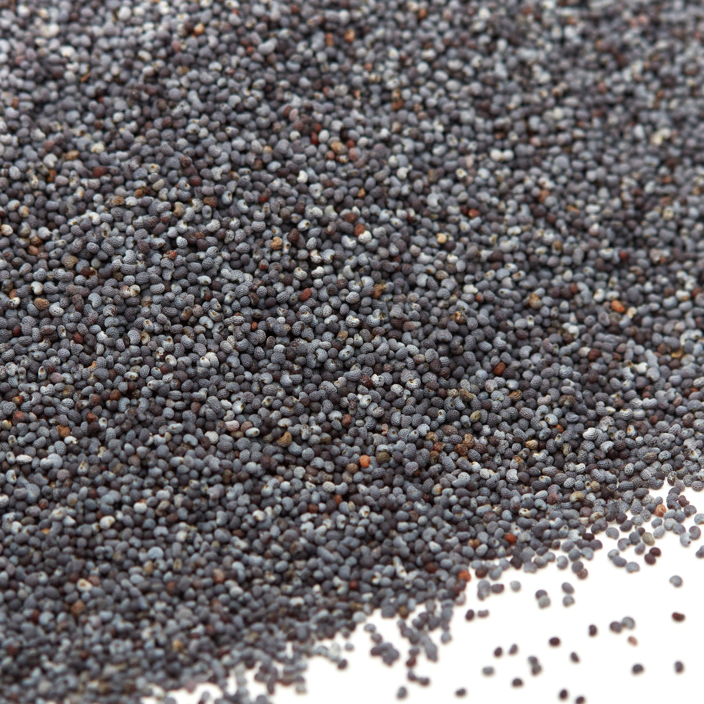 Blaumohn Premium 1 Kg