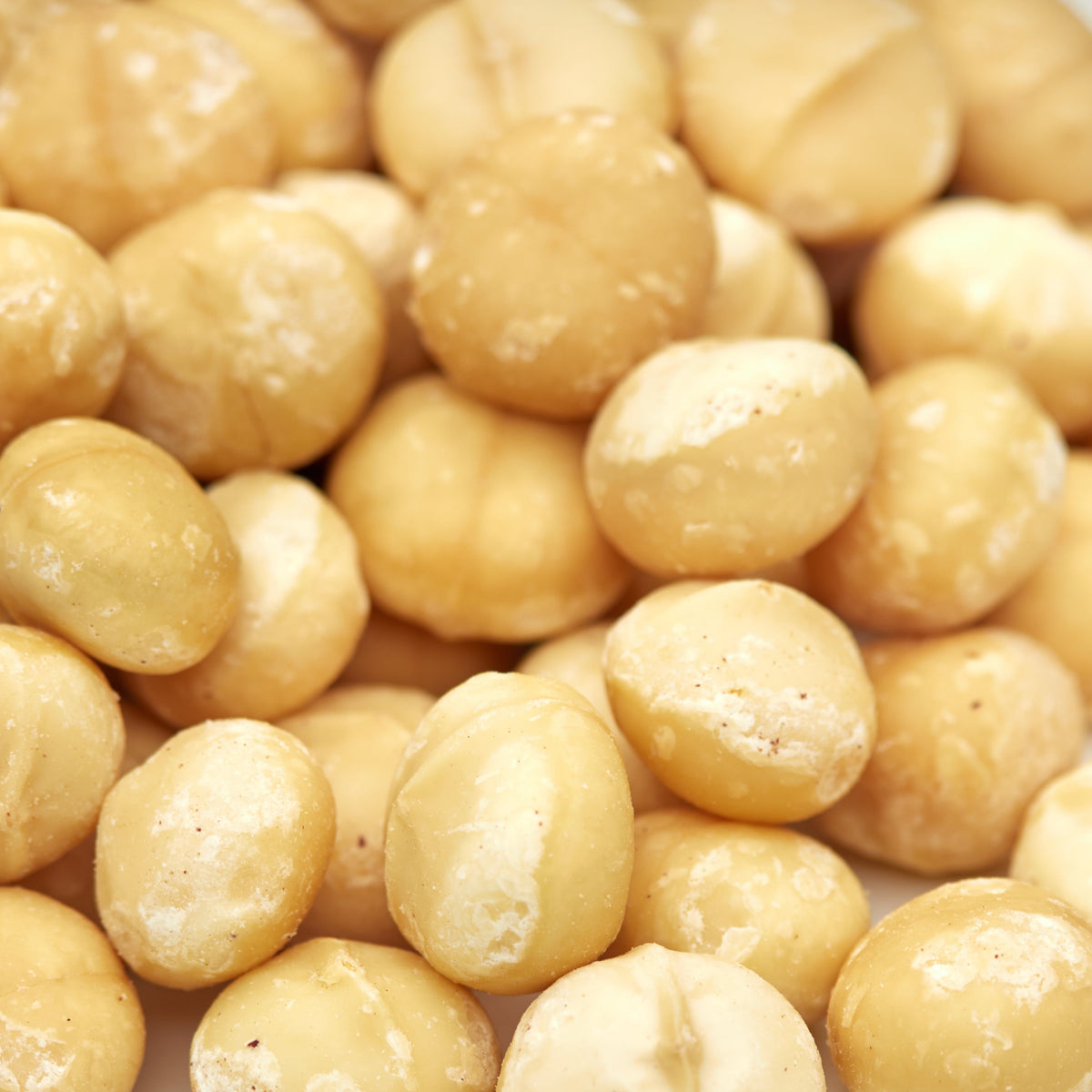 Extra grosse rohe Macadamia-Kerne in Nahaufnahme