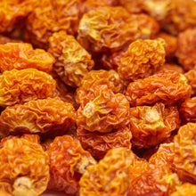 Makroaufnahme getrockneter Physalis von NESSLIM mit charakteristischer, runzliger Fruchtstruktur.
