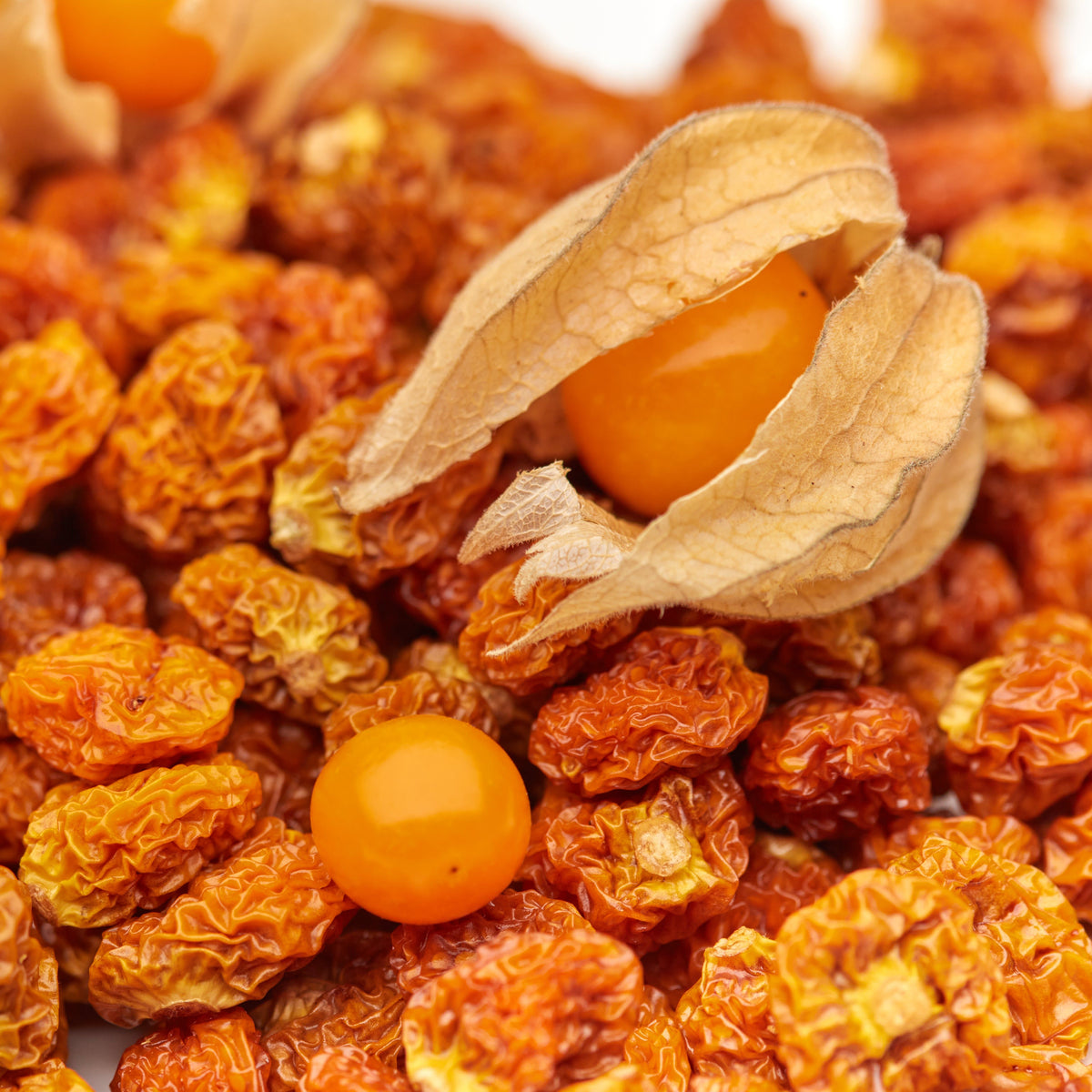 Getrocknete Physalis von NESSLIM mit frischen Kapstachelbeeren als fruchtig-herbes Topping für Müsli, Joghurt und Bowls.